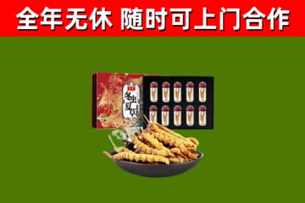 湛江回收冬虫夏草价格