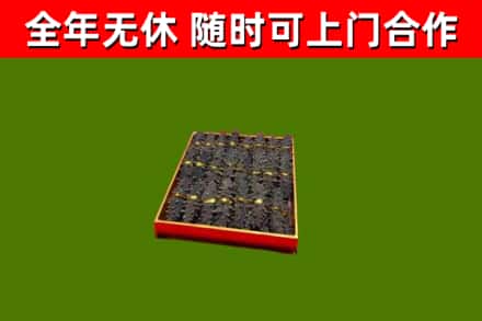 湛江回收海参